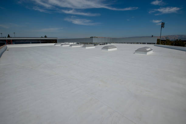 Best Roof Insulation Installation  in Leesburg, OH