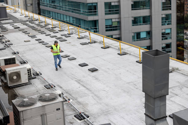 Best Skylight Installation and Repair  in Leesburg, OH