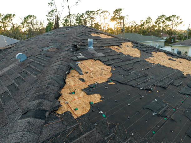Best Rubber Roofing (EPDM, TPO)  in Leesburg, OH